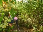 DSC02846.JPG